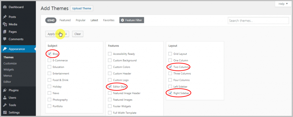 Installing WordPress theme - Features Filter